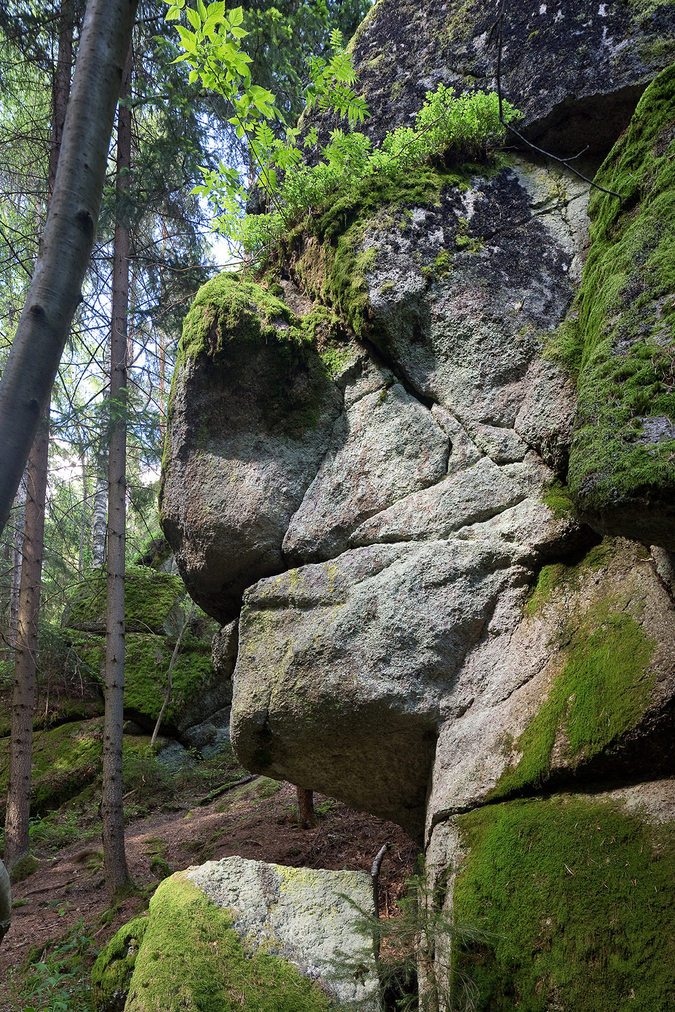 Felsengesicht