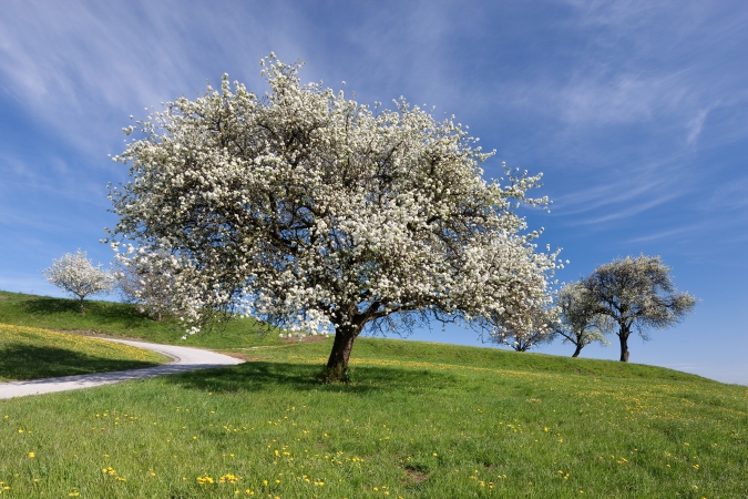 Landschaft & Luftbild